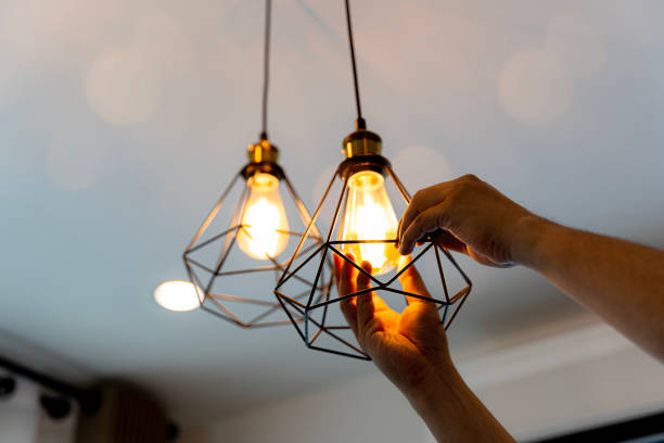 Best Affordable Electrician  in Pecatonica, IL