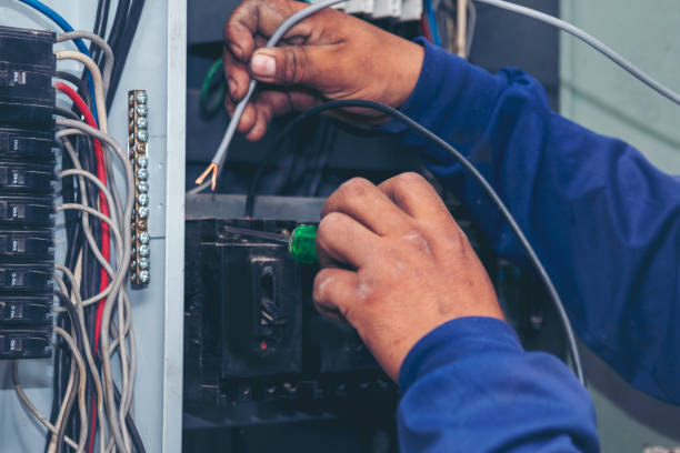 Best Electric Panel Repair  in Pecatonica, IL